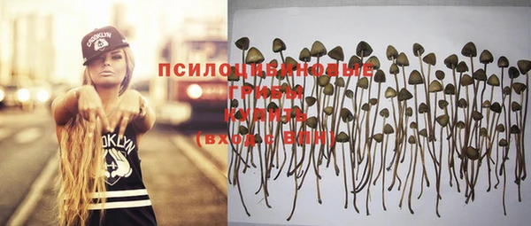 прущий лед Абдулино