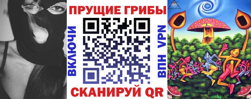 дарнет шоп  Инза  omg ТОР  Псилоцибиновые грибы Psilocybine cubensis 